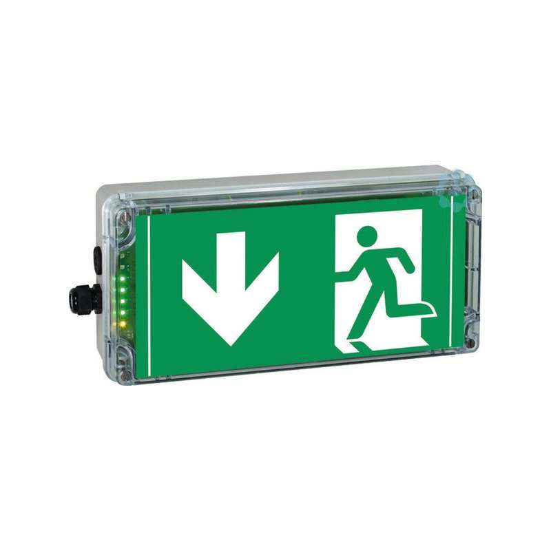 Iluminat indicator de ieșire de urgență  zona explozive 1/21   , 6h bat. conform ISO 7010