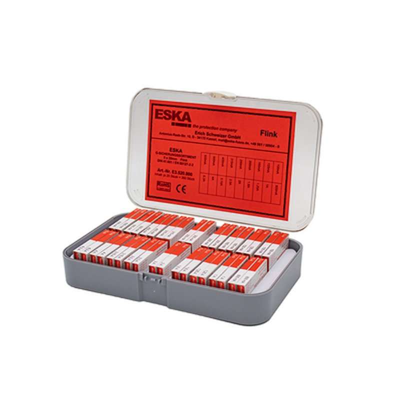 Sortiment siguranțe de la 0,1A - 6,3A   5x20mm F- rapide  360buc.