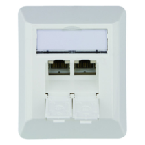 Priza de date aplicata Cat. 6a UAE 8/8 AMJ45K dublu AP 45° alb alpin