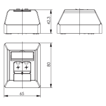 Priza de date aplicata Cat. 6a UAE 8/8 AMJ45K dublu AP 45° alb alpin