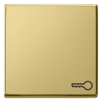 Gira 0287604 Sistem 55  , Capă intrerupatoare si taste cu simbol cheie  , din alamă