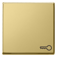 Gira 0287604 Sistem 55  , Capă intrerupatoare si taste cu simbol cheie  , din alamă