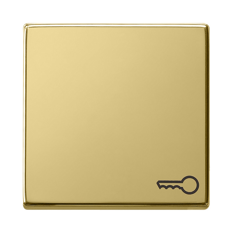 Gira 0287604 Sistem 55  , Capă intrerupatoare si taste cu simbol cheie  , din alamă