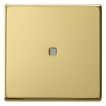 Gira 0290604 Sistem 55  , Capă intrerupatoare si taste cu led  , din alamă