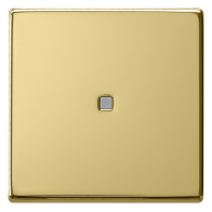 Gira 0290604 Sistem 55  , Capă intrerupatoare si taste cu led  , din alamă