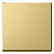 Gira 0296604 Sistem 55  , Capă intrerupatoare si taste , din alamă