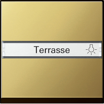 Gira 0299604 Sistem 55  , Capă intrerupatoare si taste cu câmp de etichetare , din alamă