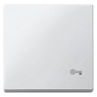 Capac pentru intreruptor si tastă cu simbol cheie , Merten MEG3303-0325 alb activ Antibacterian