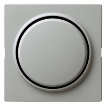 Capa pentru intreruptoare si taste Gira S-Color gri 029642