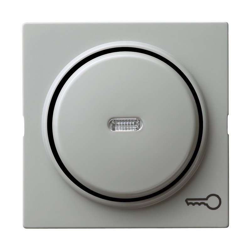 Capa pentru intreruptoare si taste cu simbol cheie si vizeta LED Gira S-Color gri 028742