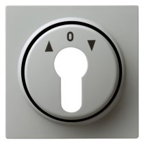 Capa pentru comutatoare cu butuc si cheie  sageti sus jos Gira S-Color gri 066442