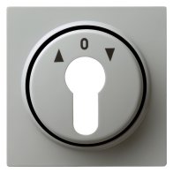 Capa pentru comutatoare cu butuc si cheie  sageti sus jos Gira S-Color gri 066442