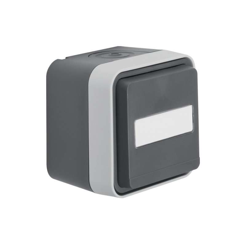 Priză cu contact de protecție stift, protecție suplimentara , Capac și BSF AP W.1 gri ,Berker 6768813525