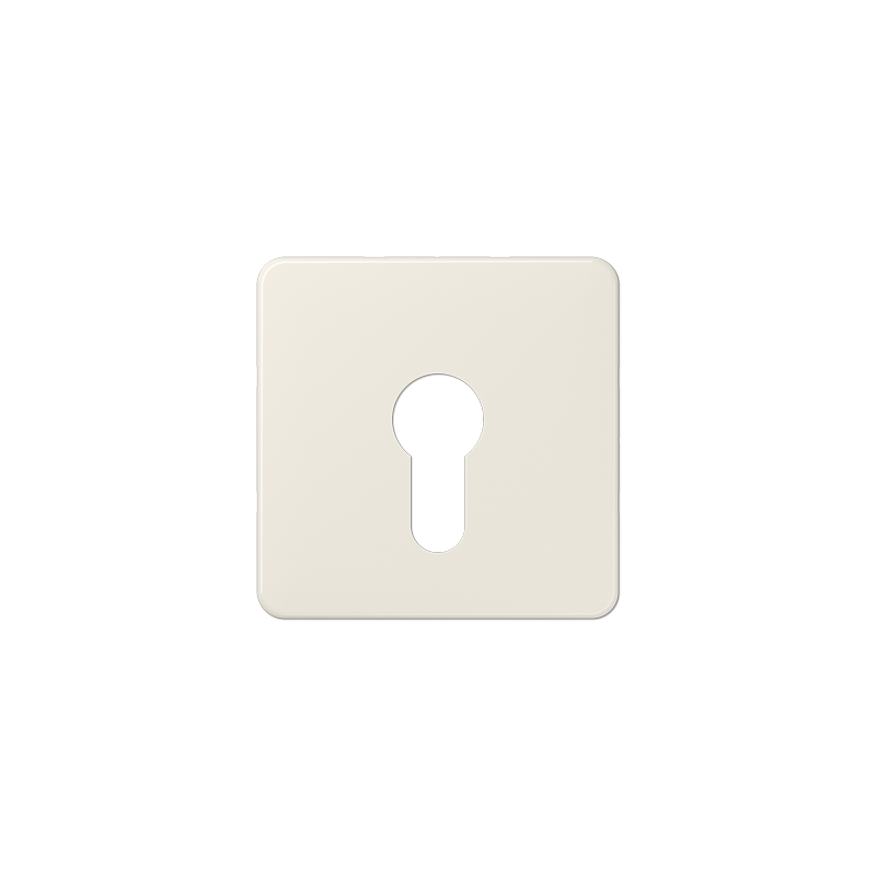 Jung 525 ,Placa centrală pentru întrerupătorul cheie