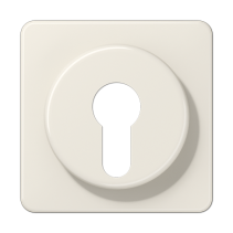 Jung 528 ,Placa centrală pentru întrerupătorul cheie