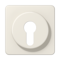 Jung 528 ,Placa centrală pentru întrerupătorul cheie