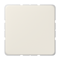 Jung 594-0 ,Placă centrală necompletată (fixare prin instantaneu)