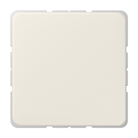 Jung 594-0 ,Placă centrală necompletată (fixare prin instantaneu)