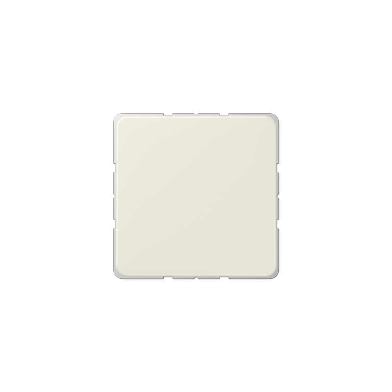 Jung 594-0 ,Placă centrală necompletată (fixare prin instantaneu)