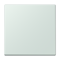 Jung ENOLC990215 ,Intreruptor Smart-Home Radio, 2 canale, LC32034