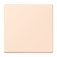 Jung ENOLC990226 ,Intreruptor Smart-Home Radio, 2 canale, LC32082