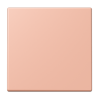 Jung ENOLC990231 ,Intreruptor Smart-Home Radio, 2 canale, LC32102