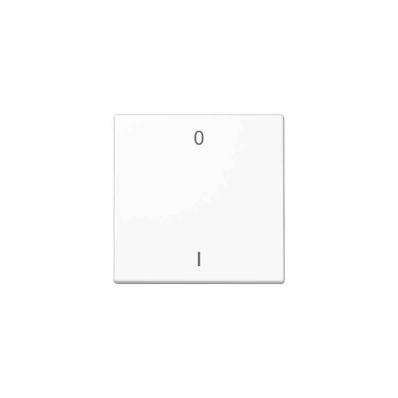 Jung ENOLS990-01WW ,Intreruptor Smart-Home Radio , EnOcean, 2 canale