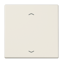 Jung ENOLS990P ,Intreruptor Smart-Home Radio , EnOcean, 2 canale