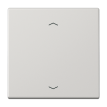 Jung ENOLS990PLG ,Intreruptor Smart-Home Radio , EnOcean, 2 canale