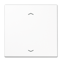 Jung ENOLS990PWW ,Intreruptor Smart-Home Radio , EnOcean, 2 canale