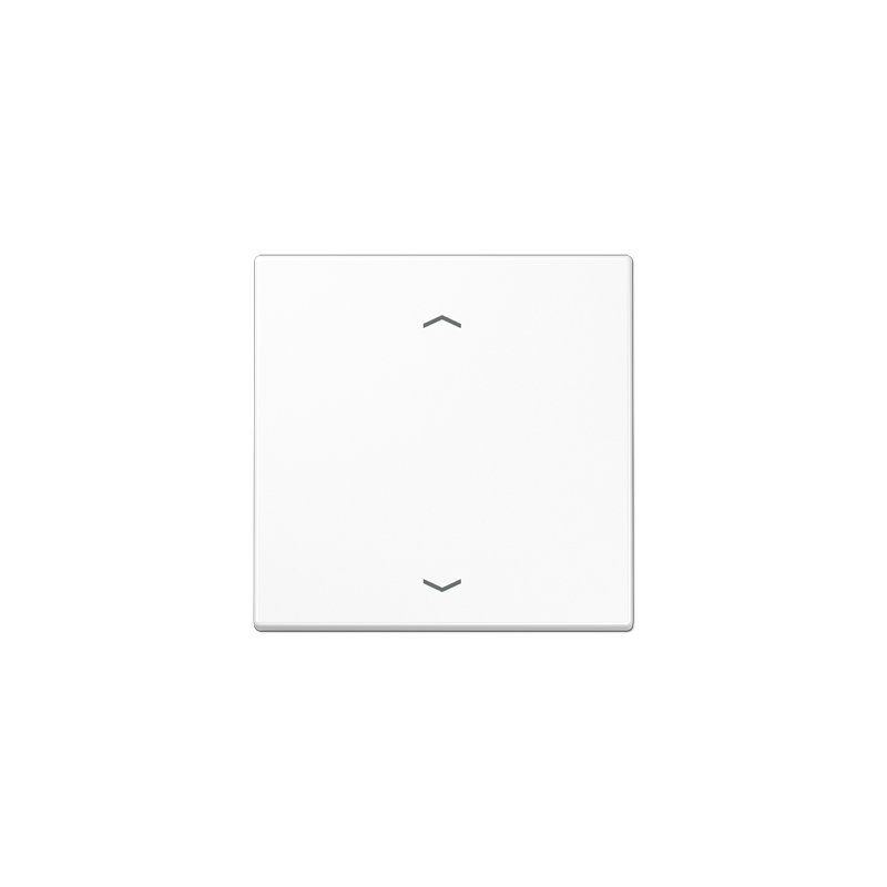 Jung ENOLS990PWW ,Intreruptor Smart-Home Radio , EnOcean, 2 canale