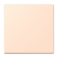 Jung BLELC990228 ,Intreruptor Smart Home radio Bluetooth Energy Low Energy, 2 Channel, LC32091